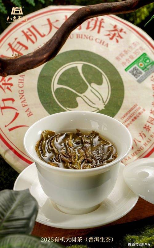2025 年茶叶/小青柑茶叶/普洱茶叶工厂推荐:广东八方茶园茶业